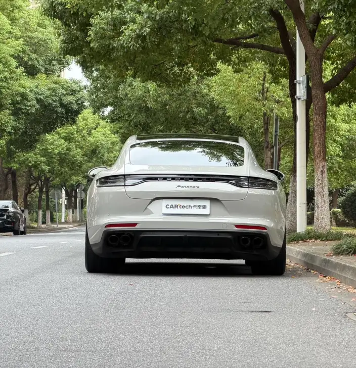 Panamera 2023 Model Panamera Executive Extended Platinum Edition 2.9T – фото 6