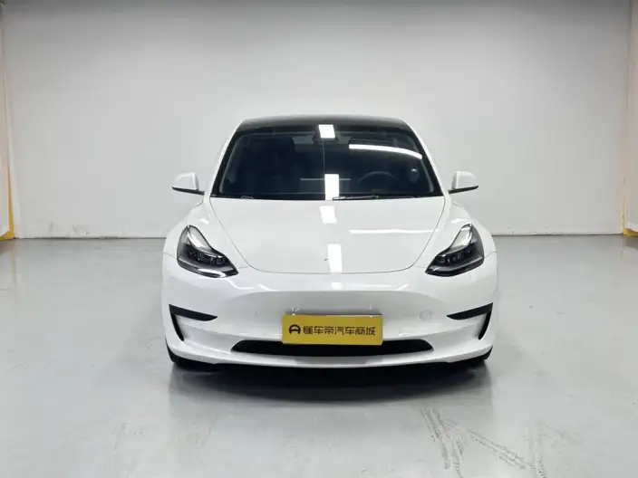 Model 3 2021 Model Standard Battery Life Rear Drive L Class Edition 3D6 – фото 2