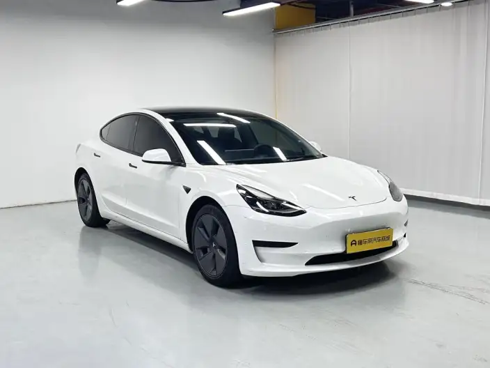 Model 3 2021 Model Standard Battery Life Rear Drive L Class Edition 3D6 – фото 3