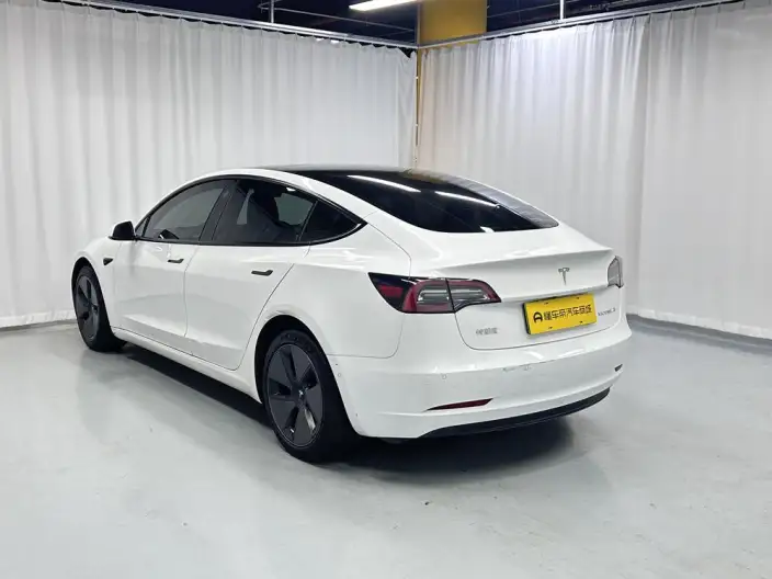Model 3 2021 Model Standard Battery Life Rear Drive L Class Edition 3D6 – фото 5