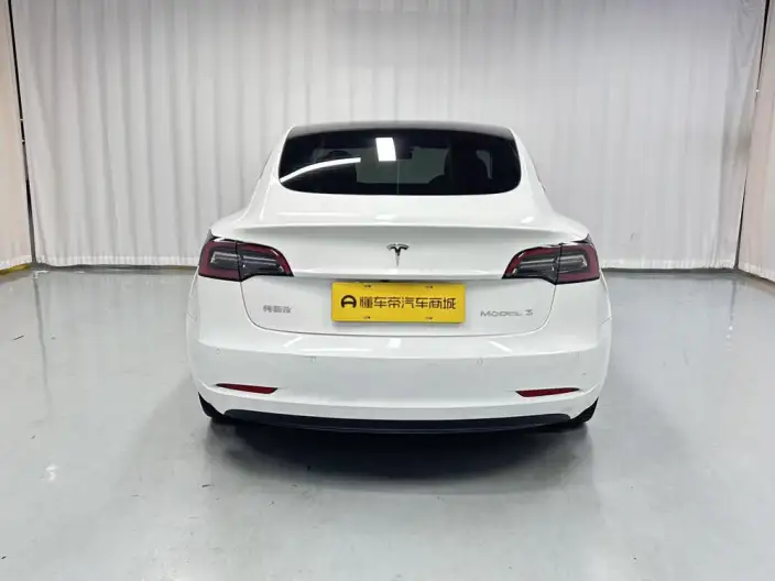 Model 3 2021 Model Standard Battery Life Rear Drive L Class Edition 3D6 – фото 6