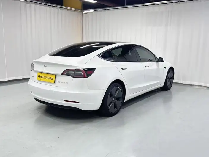 Model 3 2021 Model Standard Battery Life Rear Drive L Class Edition 3D6 – фото 7