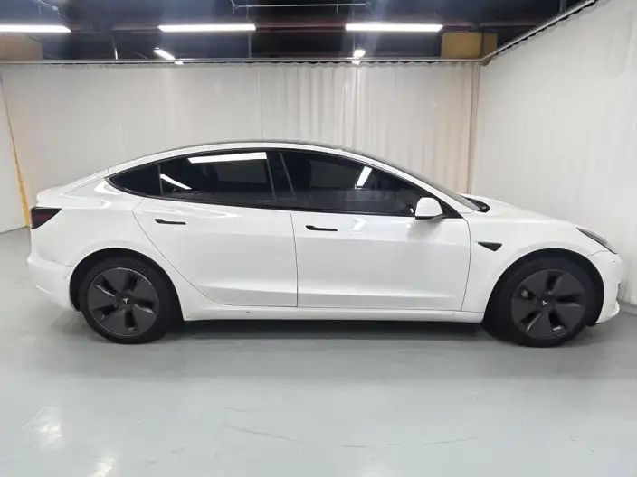 Model 3 2021 Model Standard Battery Life Rear Drive L Class Edition 3D6 – фото 8
