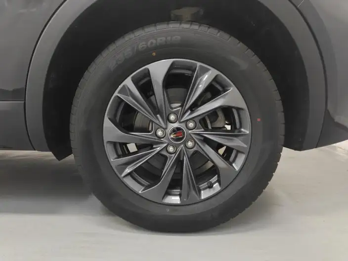 Hongqi HS5 2025 Model 2.0T Flag Xiang Pro Edition – фото 9