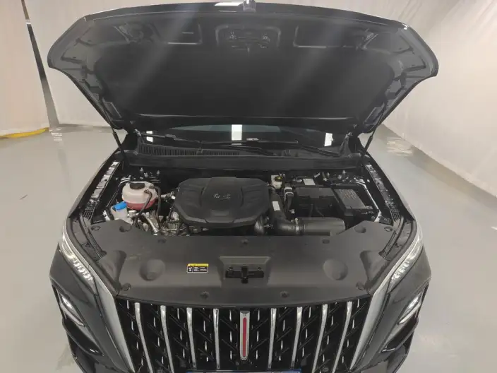 Hongqi HS5 2025 Model 2.0T Flag Xiang Pro Edition – фото 10