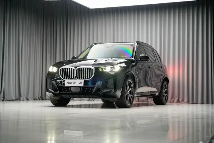 BMW X5 2023 Model xDrive30Li Exclusive Model M Sports Set – фото 10