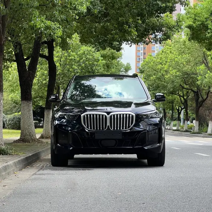 BMW X5 2023 Model xDrive30Li Exclusive Model M Sports Night Set – фото 2