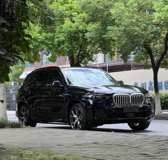 BMW X5 2023 Model xDrive30Li Exclusive Model M Sports Night Set – фото 3