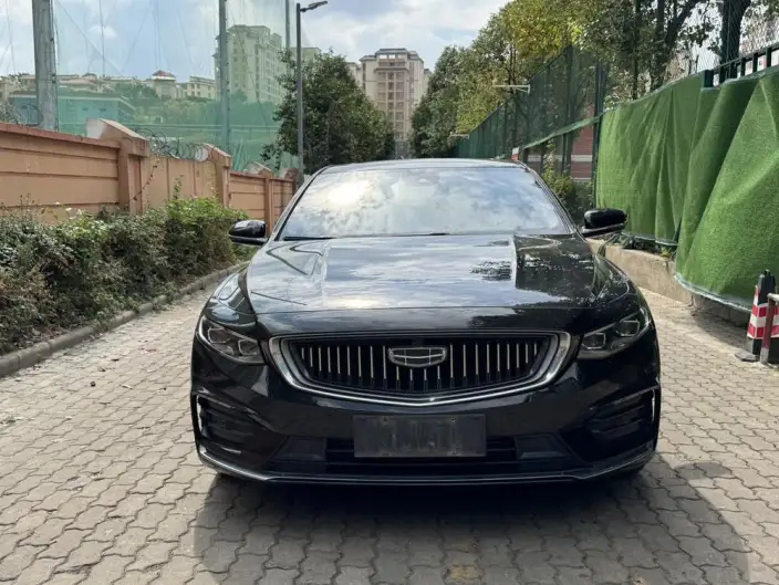 Geely StarRui 2021 Model 2.0T Noble Model – фото 2