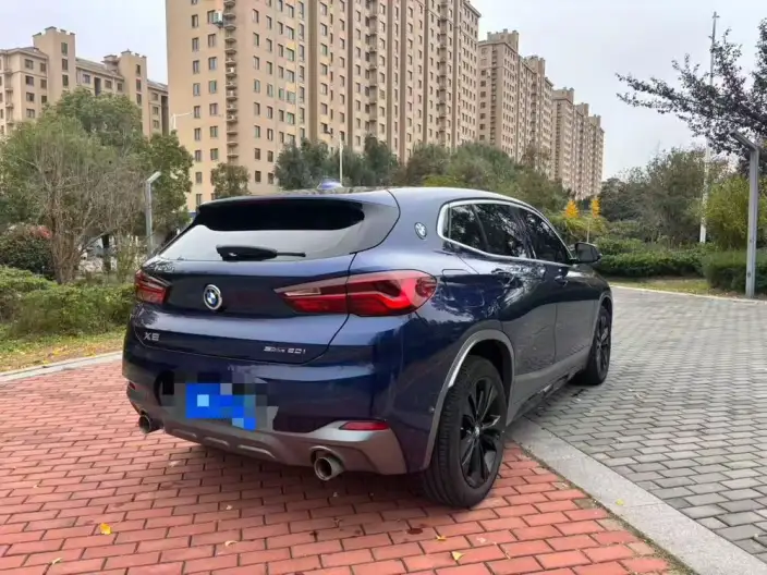 BMW X2 2020 Model sDrive25i Leading Model M Off-road Set – фото 6