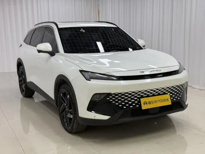Mofang 2023 Model 1.5T DCT Gold Edition – фото 3