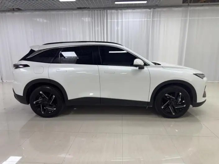 Mofang 2023 Model 1.5T DCT Gold Edition – фото 8