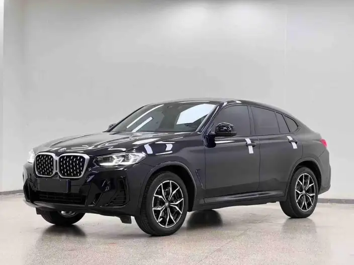 BMW X4 2022 Model xDrive 25i M Sports Set – фото 1