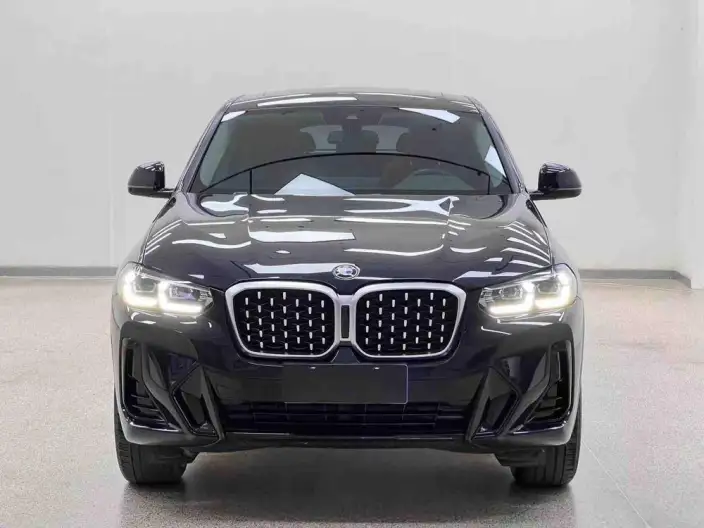 BMW X4 2022 Model xDrive 25i M Sports Set – фото 2