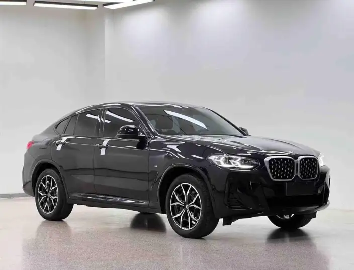 BMW X4 2022 Model xDrive 25i M Sports Set – фото 3