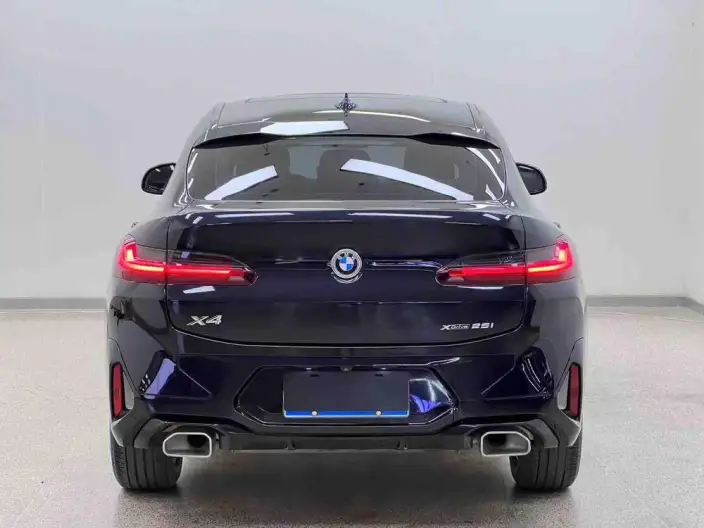 BMW X4 2022 Model xDrive 25i M Sports Set – фото 6