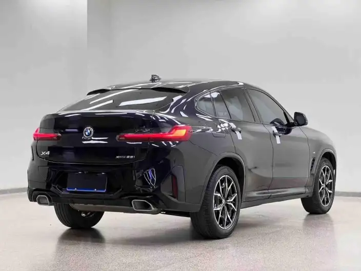 BMW X4 2022 Model xDrive 25i M Sports Set – фото 7