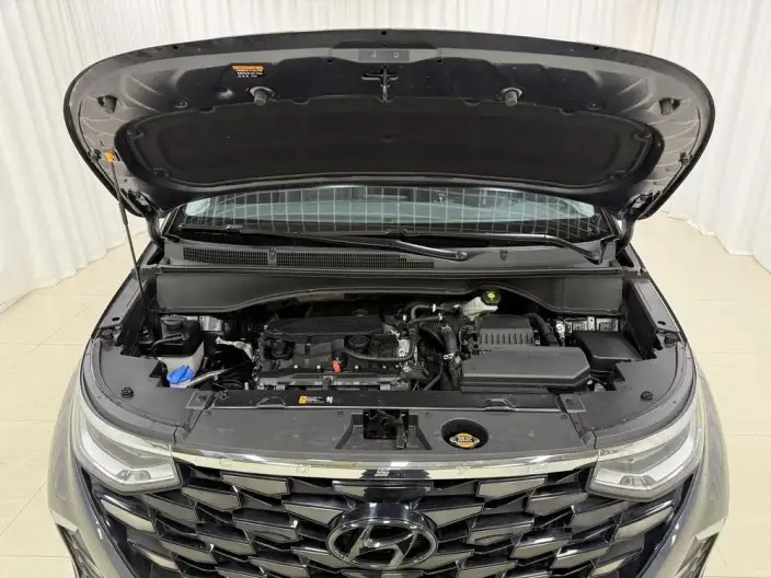 Hyundai Custin 2021 Model 270TGDi Premium Edition LUX – фото 10