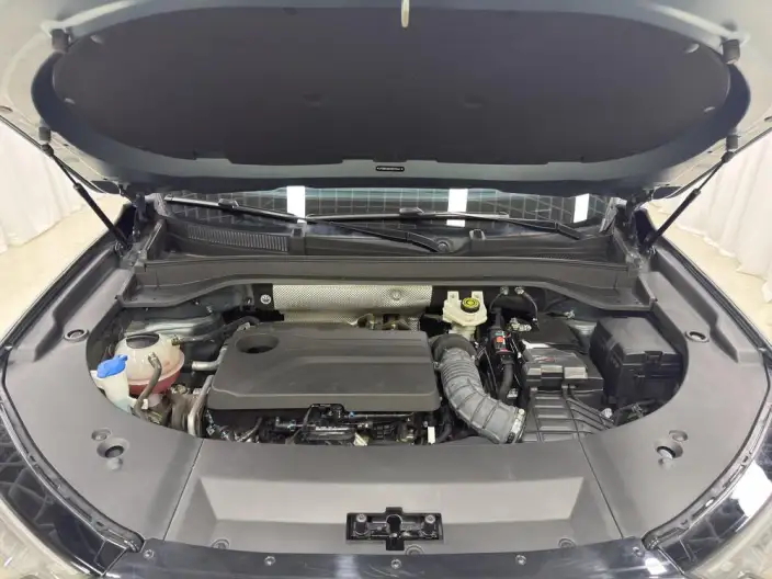 Chery Tiggo 9 2024 Model 2.0T DCT 2WD Chao Comfort Zun Shang Edition – фото 10