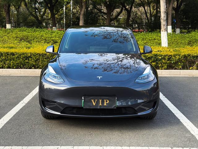 Tesla Model Y 2024 RWD – фото 2