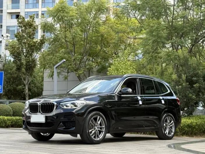 BMW X3 2020 Model xDrive25i M Sports Set – фото 1
