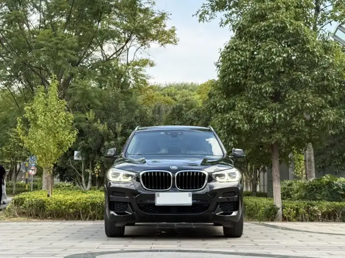 BMW X3 2020 Model xDrive25i M Sports Set – фото 2
