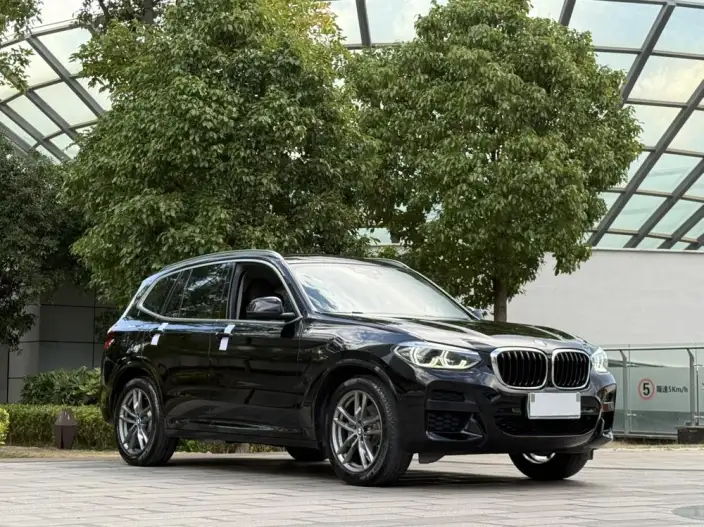BMW X3 2020 Model xDrive25i M Sports Set – фото 3