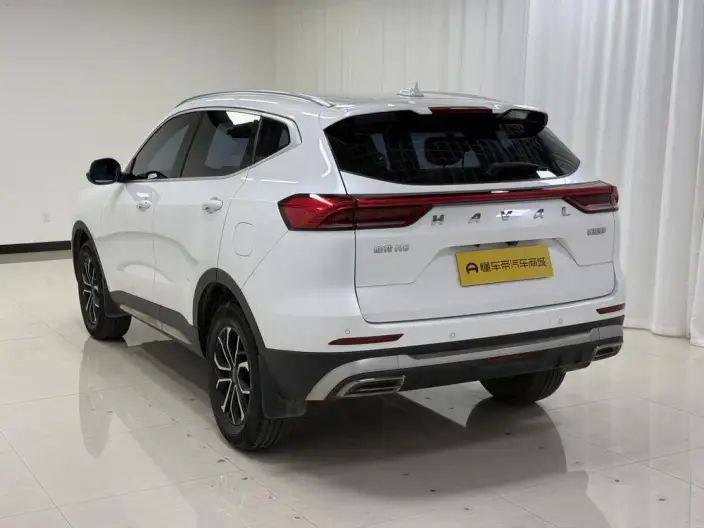 Haval H6 2021 Model Guo Trendy Edition 1.5T Automatic Urban Edition – фото 5