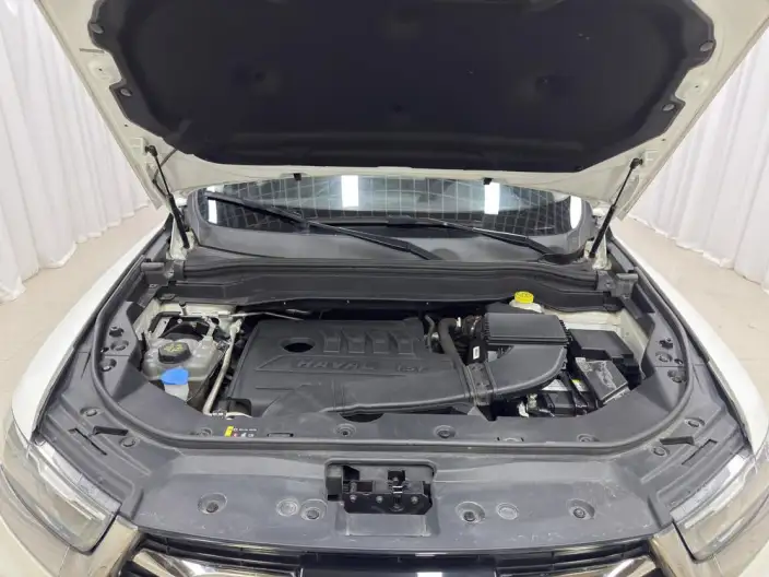 Haval H6 2021 Model Guo Trendy Edition 1.5T Automatic Urban Edition – фото 10