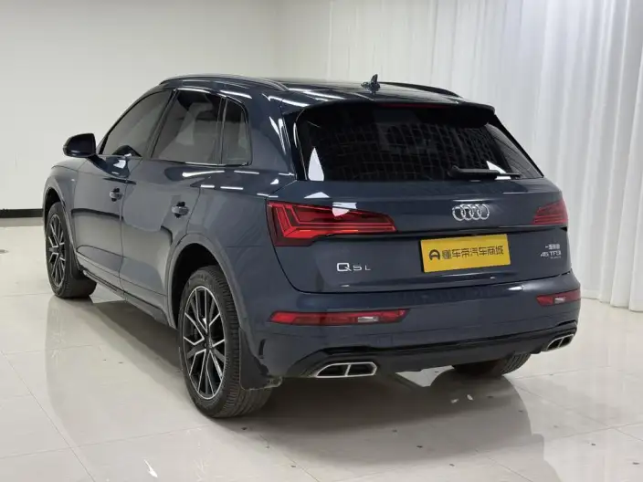 Audi Q5L 2025 Model quattro 45th Anniversary Collector Edition Edition 45TFSI Luxury Dynamic Model – фото 5