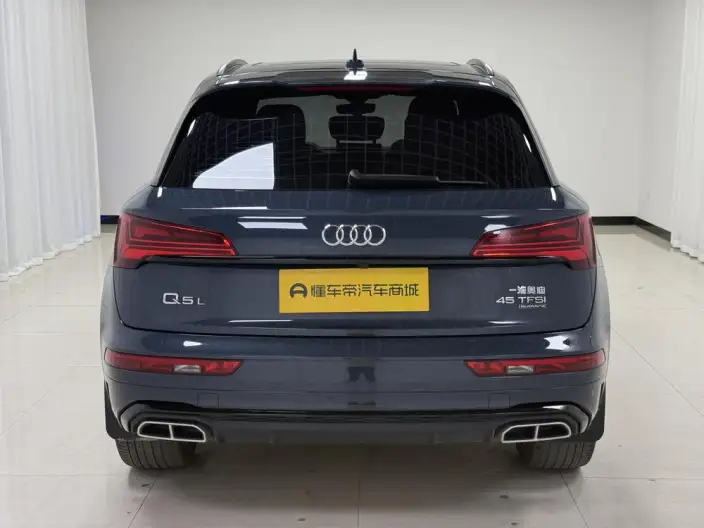 Audi Q5L 2025 Model quattro 45th Anniversary Collector Edition Edition 45TFSI Luxury Dynamic Model – фото 6