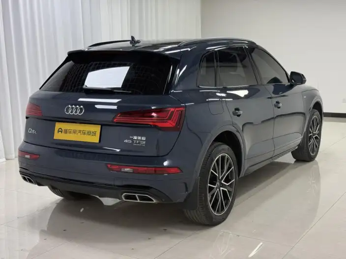 Audi Q5L 2025 Model quattro 45th Anniversary Collector Edition Edition 45TFSI Luxury Dynamic Model – фото 7