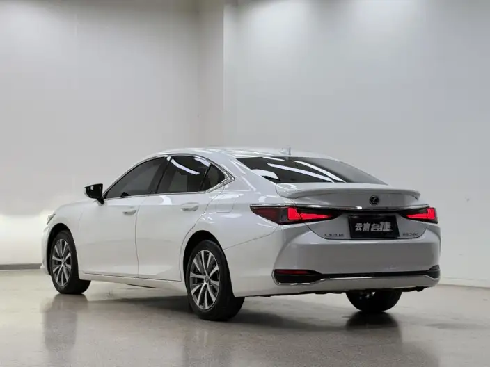 Lexus ES 2020 Model 200 Superior Edition China VI – фото 5
