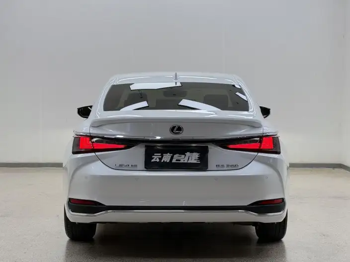 Lexus ES 2020 Model 200 Superior Edition China VI – фото 6