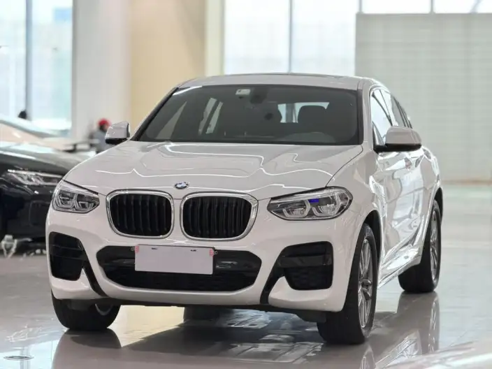 BMW X4 2020 Model xDrive25i M Sports Set – фото 1