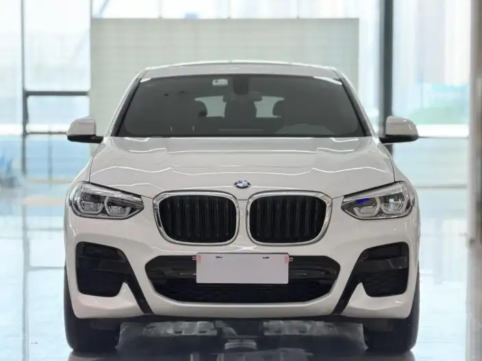 BMW X4 2020 Model xDrive25i M Sports Set – фото 2