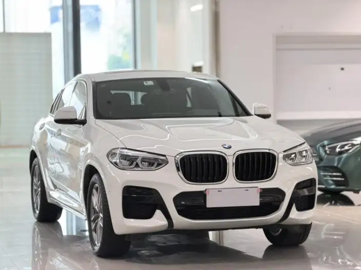 BMW X4 2020 Model xDrive25i M Sports Set – фото 3