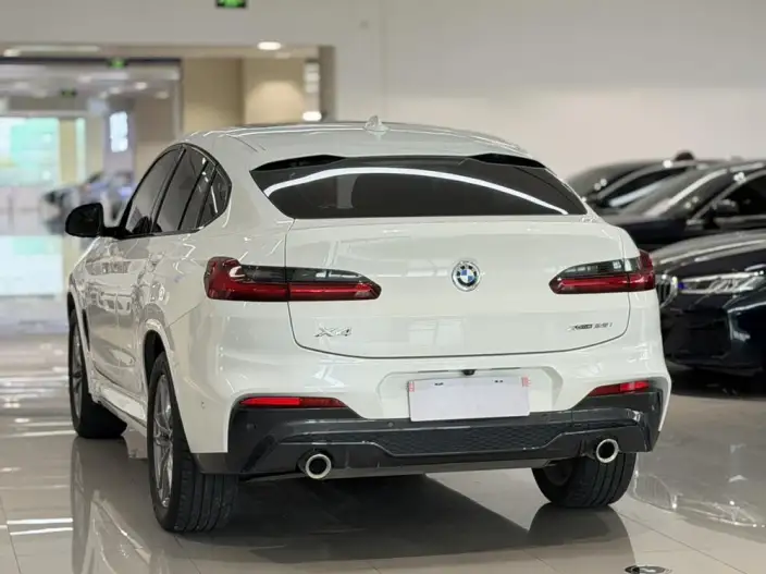 BMW X4 2020 Model xDrive25i M Sports Set – фото 4