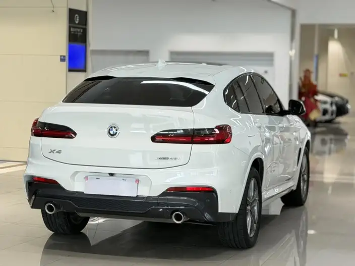 BMW X4 2020 Model xDrive25i M Sports Set – фото 6