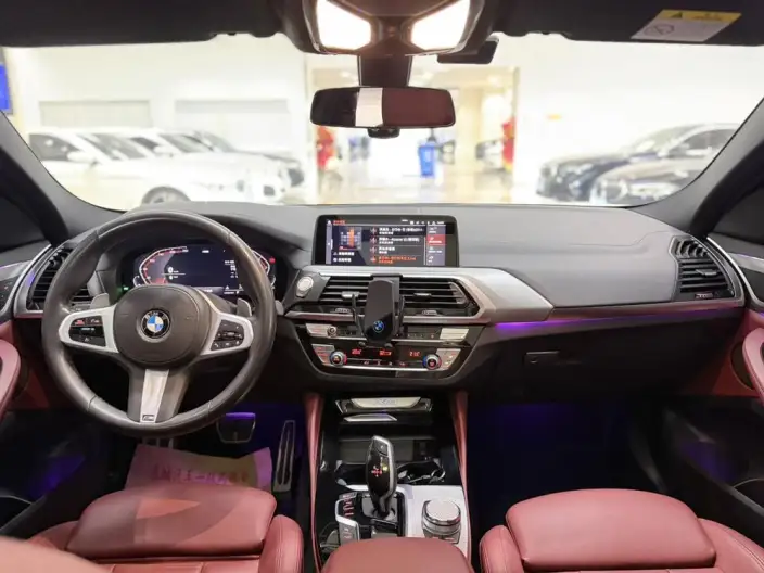 BMW X4 2020 Model xDrive25i M Sports Set – фото 7