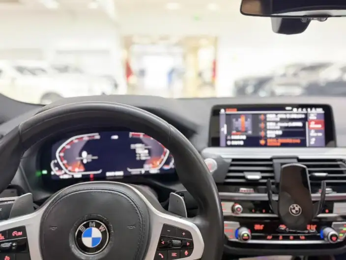 BMW X4 2020 Model xDrive25i M Sports Set – фото 8