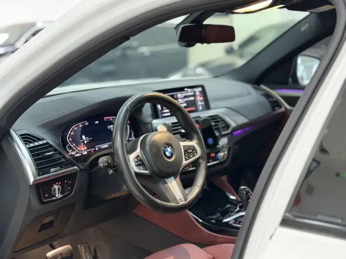 BMW X4 2020 Model xDrive25i M Sports Set – фото 9
