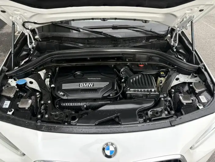 BMW X2 2021 Model sDrive25i M Sports Set – фото 6