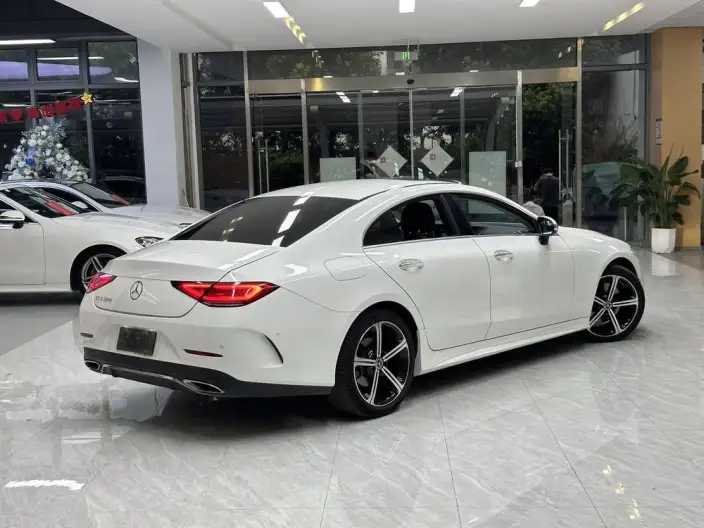 Mercedes-Benz CLS 2020 Model CLS 300 Luxury Model – фото 2