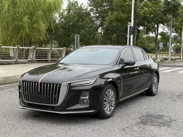 Hongqi H5 2024 Model 1.5T DCT Flag Rhythm Edition – фото 10