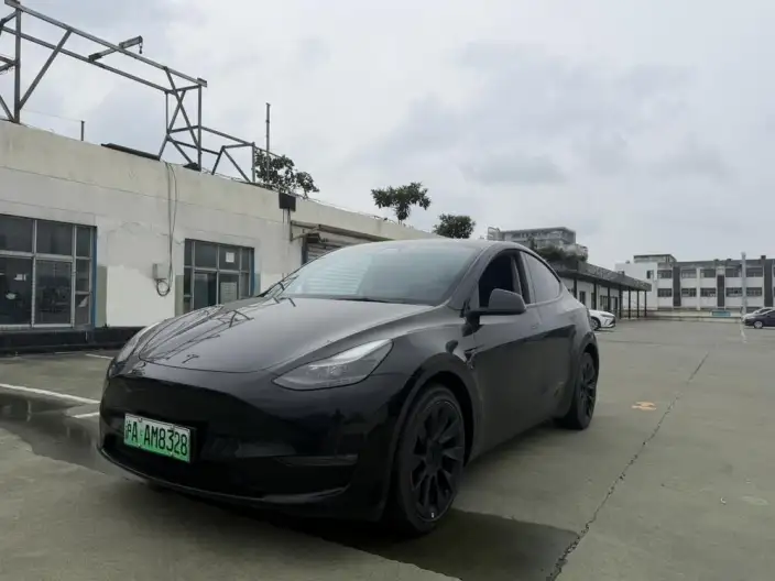 Model Y 2022 Model Long Battery Life Pro All-wheel drive version – фото 1