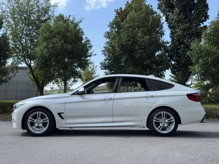 BMW 3 Series Gran Turismo 2020 Model 320i M Sports Set – фото 4