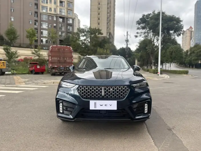 WEY VV7 2020 Model 2.0T Flagship Model – фото 2