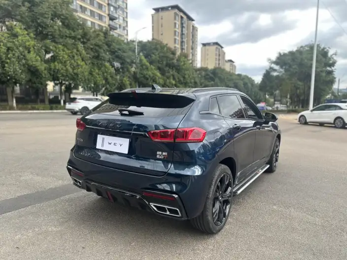 WEY VV7 2020 Model 2.0T Flagship Model – фото 6