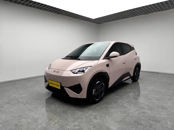 BYD Seagull 2025 Model Smart Driving Edition 305KM Free Edition – фото 1